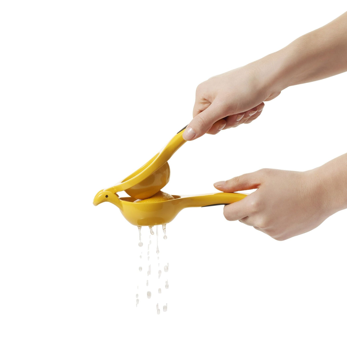 citrus-squeezer-p6 gg_1057962_4b.jpg