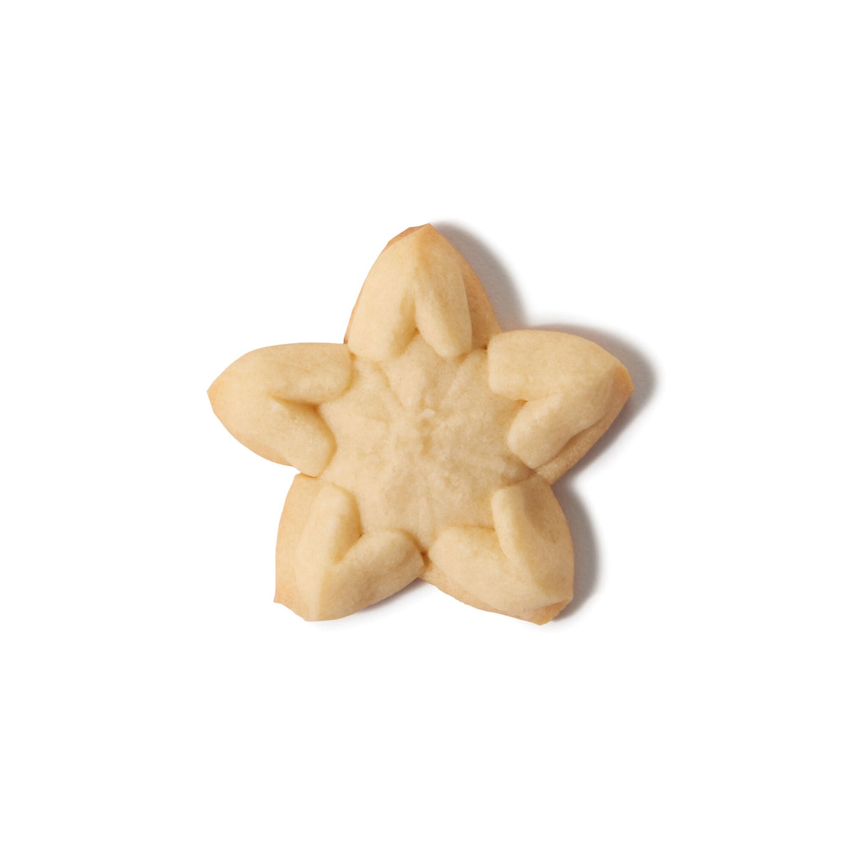 christmas-cookie-press-disk-set-m4 11177800_6_-star.jpg