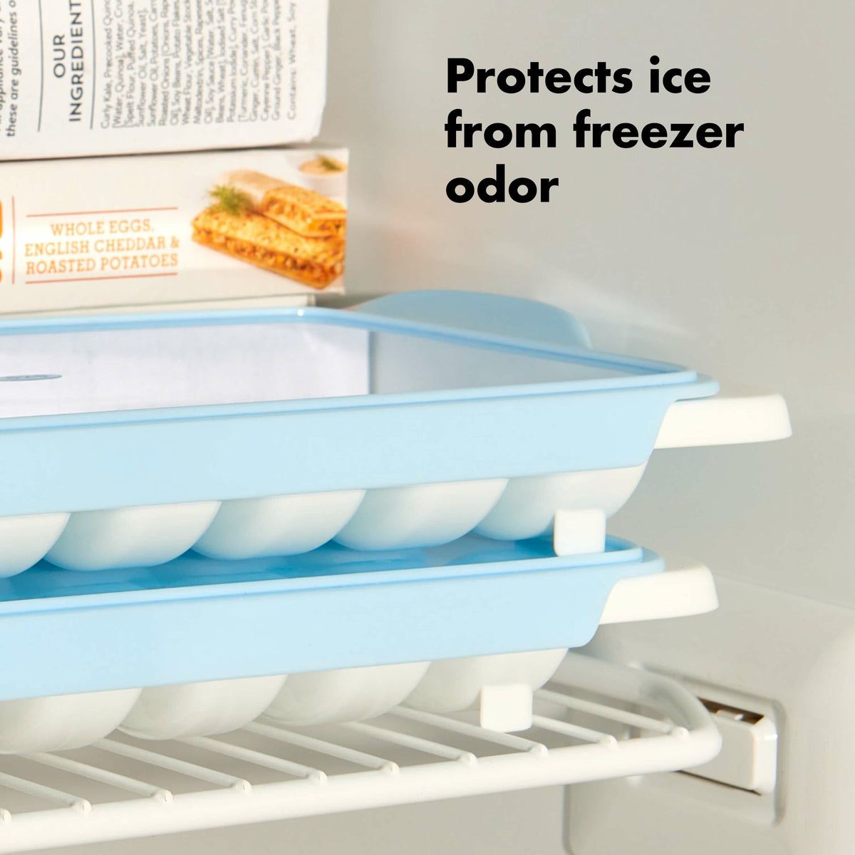 ice-cube-tray-b3 11284400_8a_1_.jpg