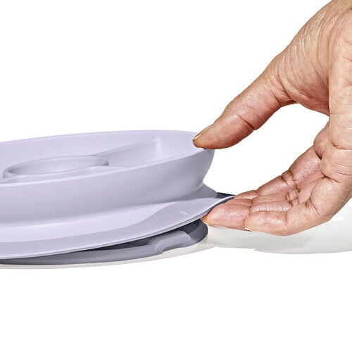 stick-and-stay-suction-divided-plate-u0 1134515a-7af7-4d77-8ad1-4534fbb13d49.jpg