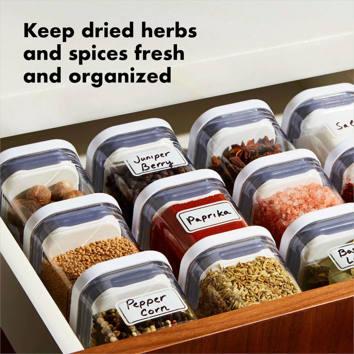 pop-4-piece-mini-container-set-c6 4_pieceaplusartboard_1-100_1_1_.jpg