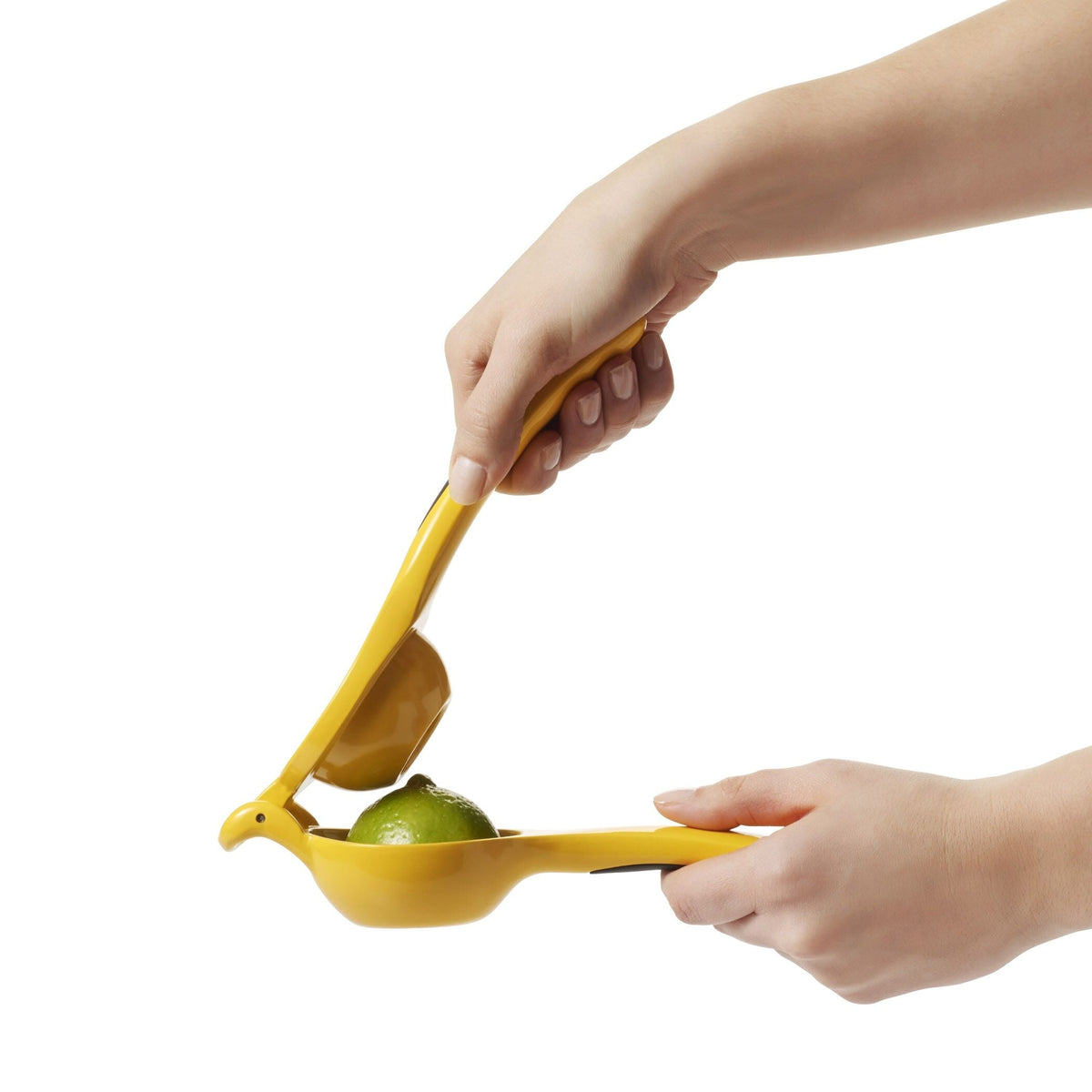 citrus-squeezer-p6 gg_1057962_4a.jpg