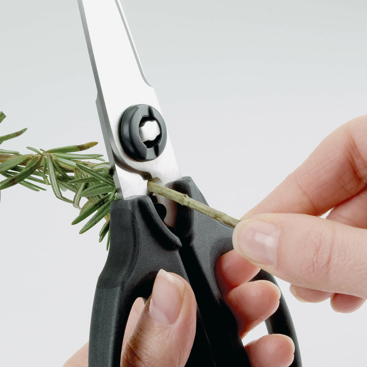kitchen-and-herb-scissors-j2 gg_1072121_3_1_.jpg