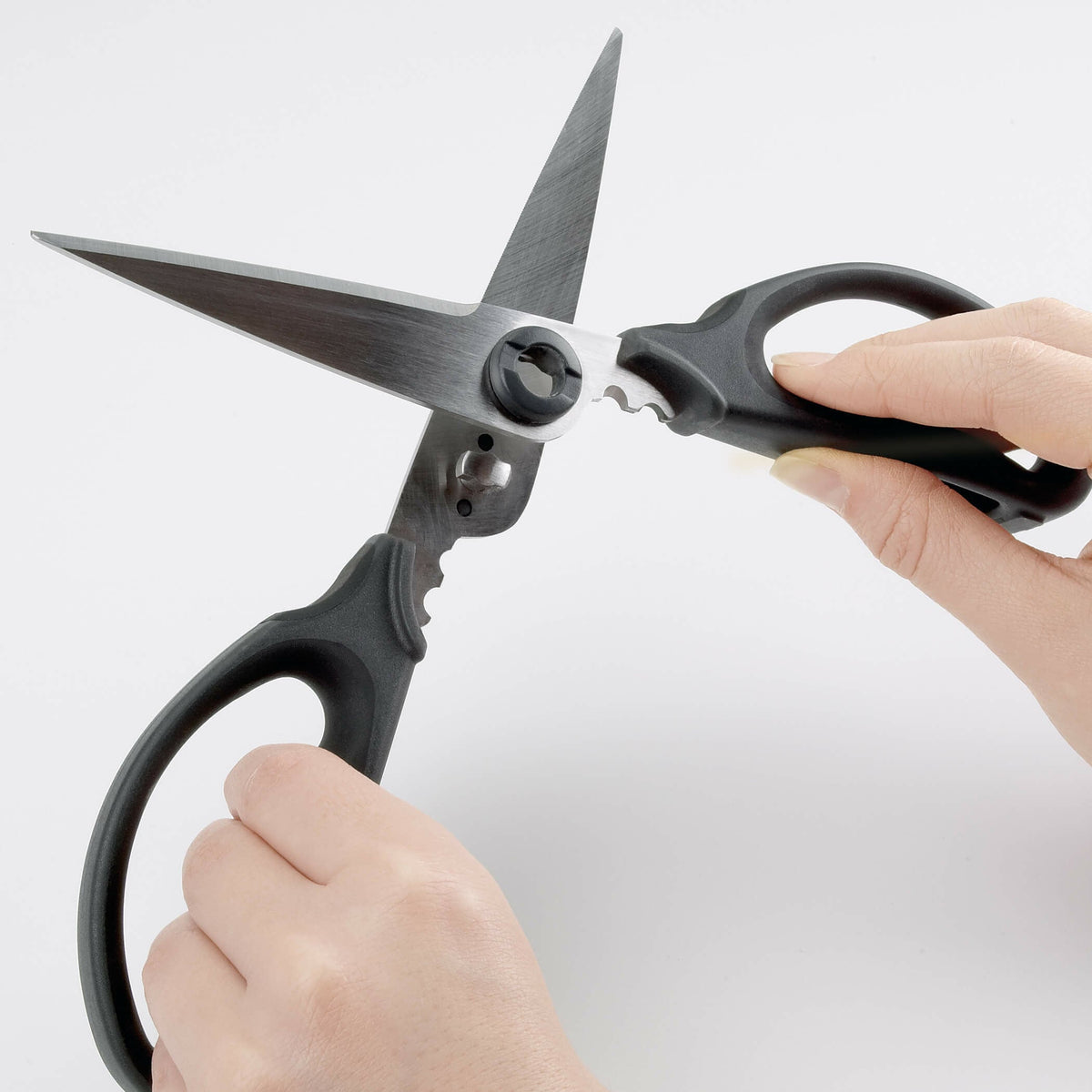 kitchen-and-herb-scissors-j2 gg_1072121_4_1_.jpg