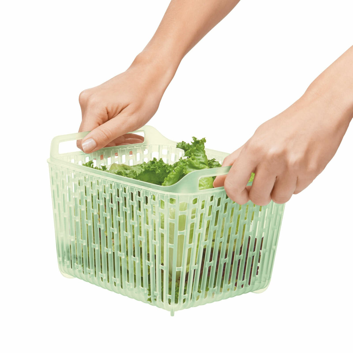 greensaver-produce-keeper-4-3-qt-b6 gg_11140000_4c_1_.jpg