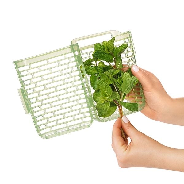 greensaver-herb-keeper-small-z1 gg_11212200_4.jpg