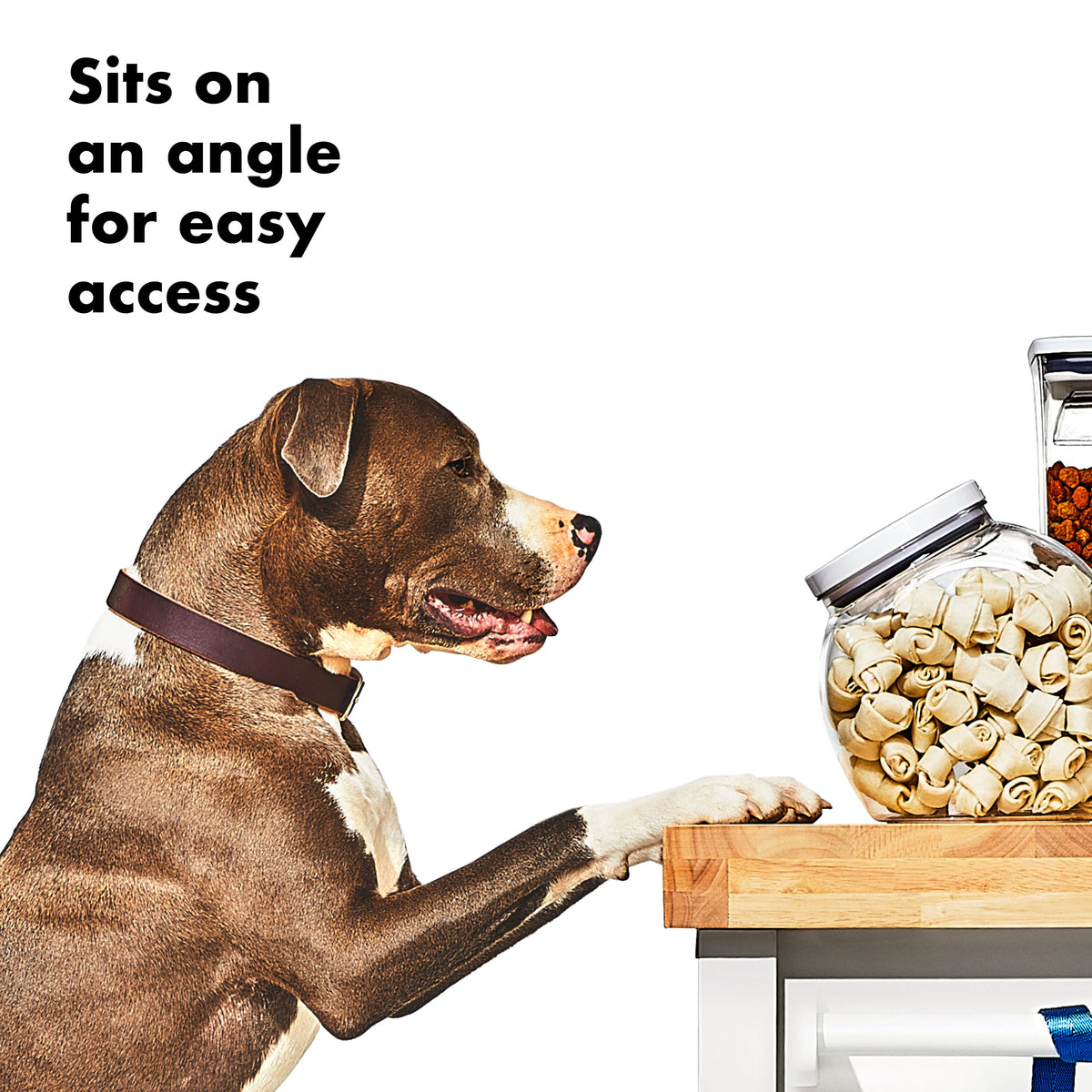 oxo-good-grips-pet-pop-container-3-0-qt-2-8-l-d7 gg_11332400_8b.jpg