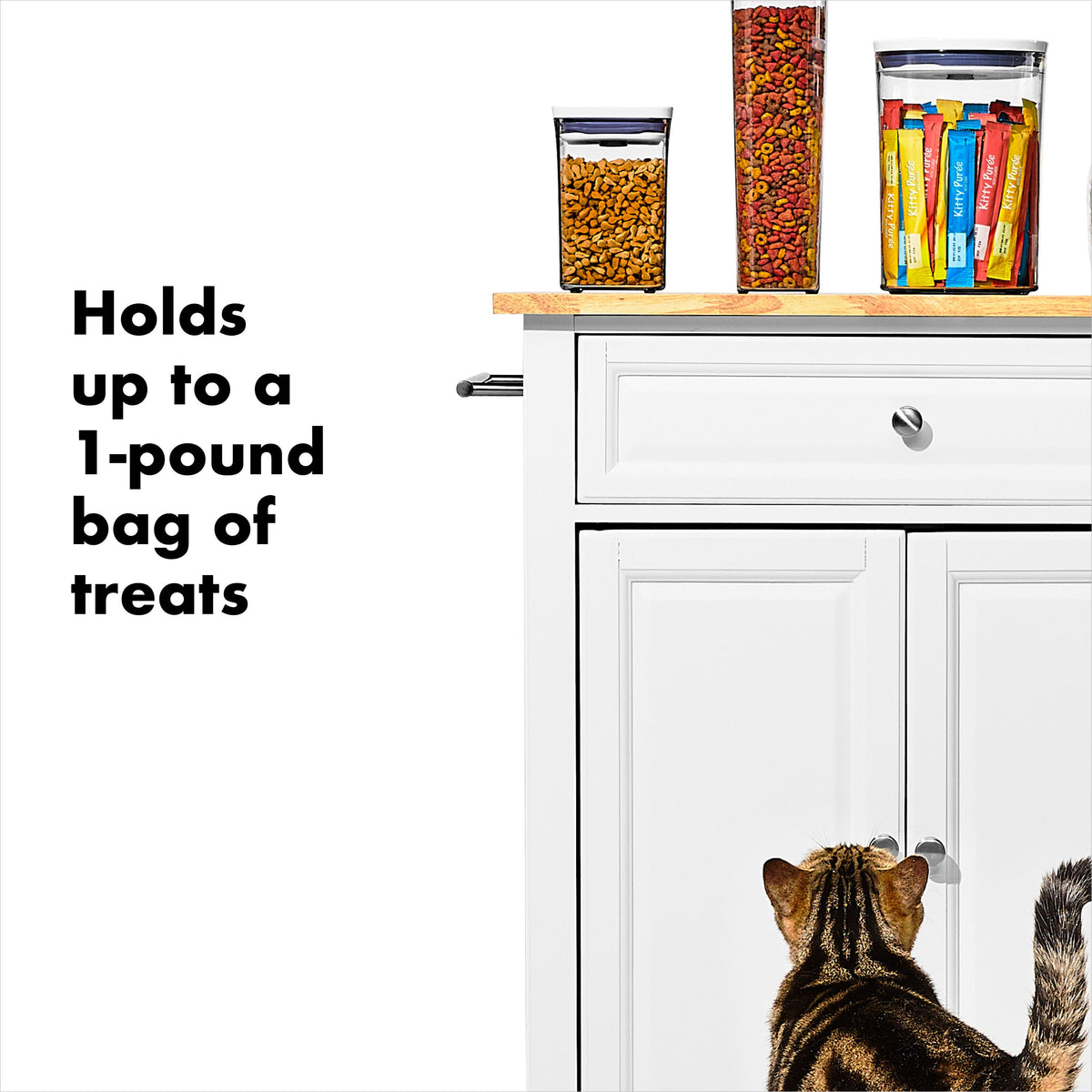 oxo-good-grips-pet-pop-container-1-1-qt-1-l-h2 gg_11332600_8.jpg