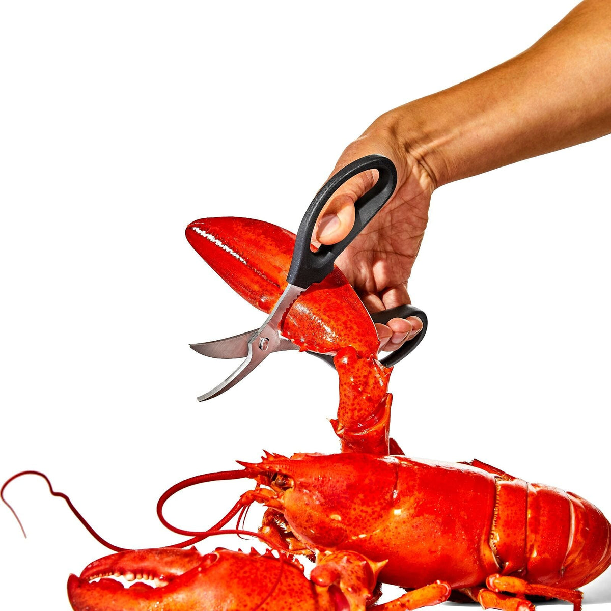 seafood-scissors-p6 gg_11350600_seafoodscissors_03_p.jpg