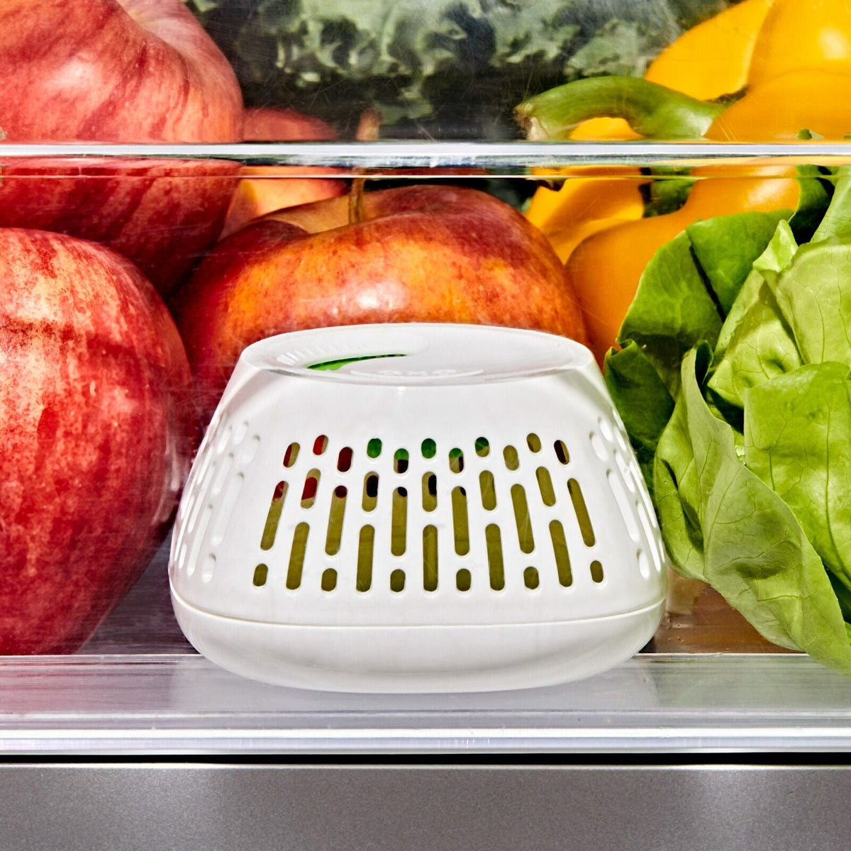 produce-saver-crisper-drawer-insert-2-pack-p5 gg_11427700_greensaver-crisper-drawer-insert_pdp_02.jpeg
