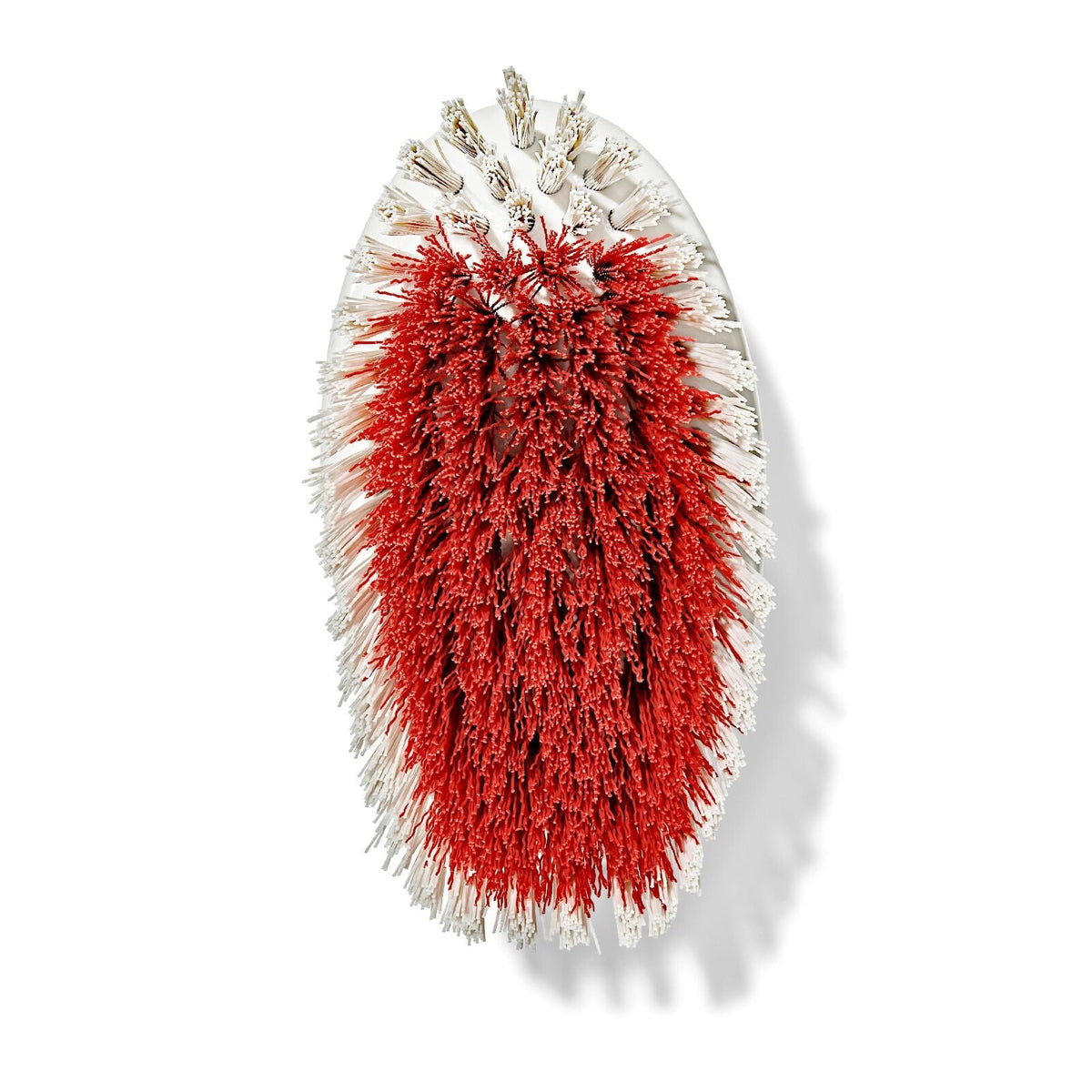 all-purpose-scrub-brush-2-pack-f6 gg_12426000_scrub-brush-2-pack_pdp_07.jpeg
