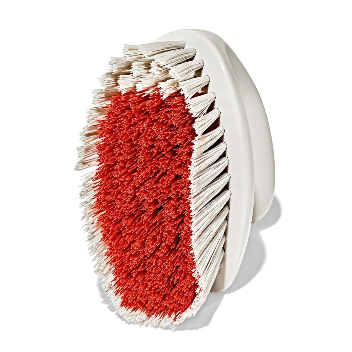 all-purpose-scrub-brush-2-pack-f6 gg_12426000_scrub-brush-2-pack_pdp_09.jpeg
