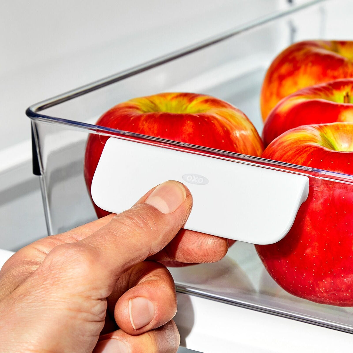 refrigerator-storage-bin-8-in-x-10-in-v9 gg_13346100_8x10infridgeorgbin_pdp_02.jpg
