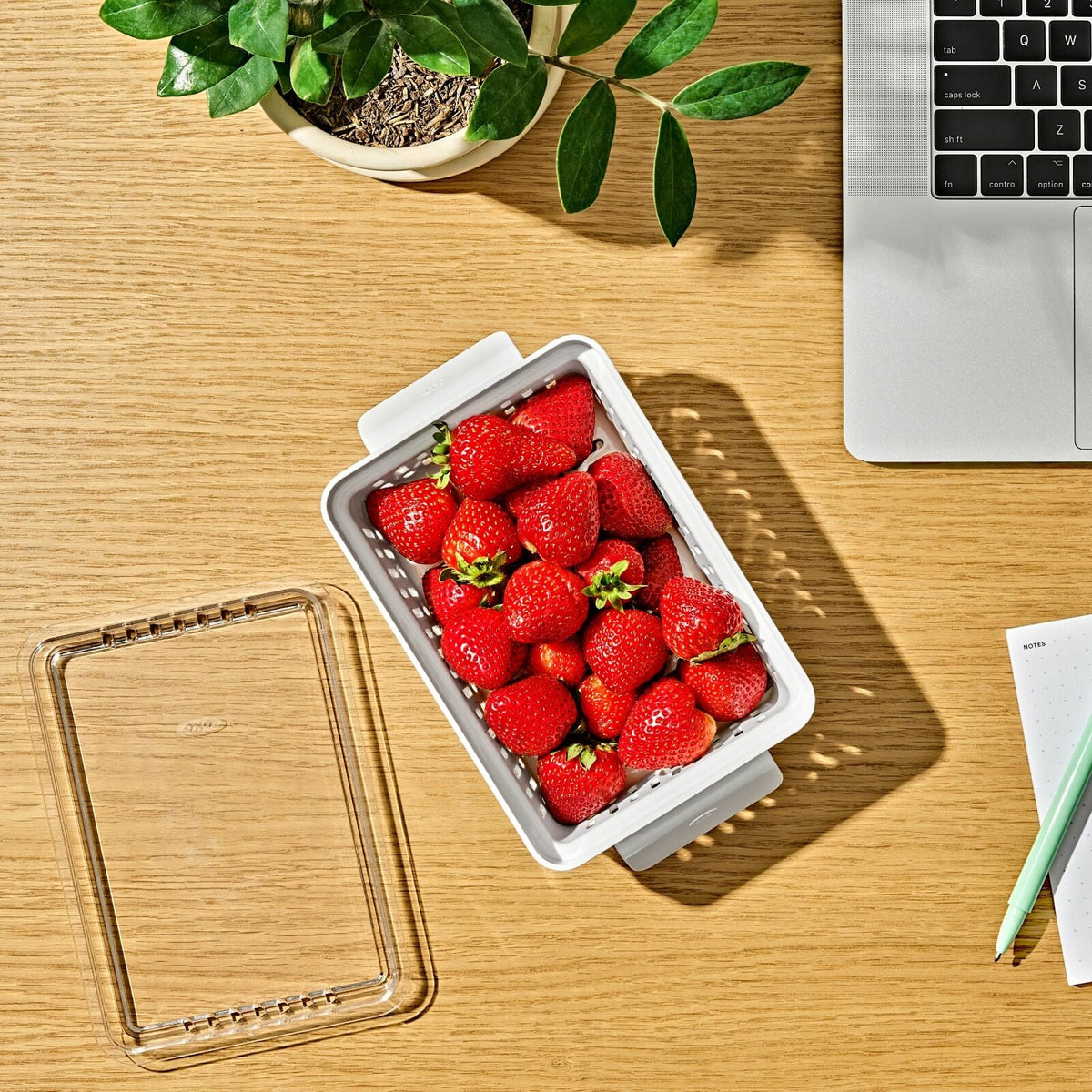produce-saver-berry-keeper-2-piece-set-r9 gg_berry-keeper-produce-saver_pdp_01_1_.jpg
