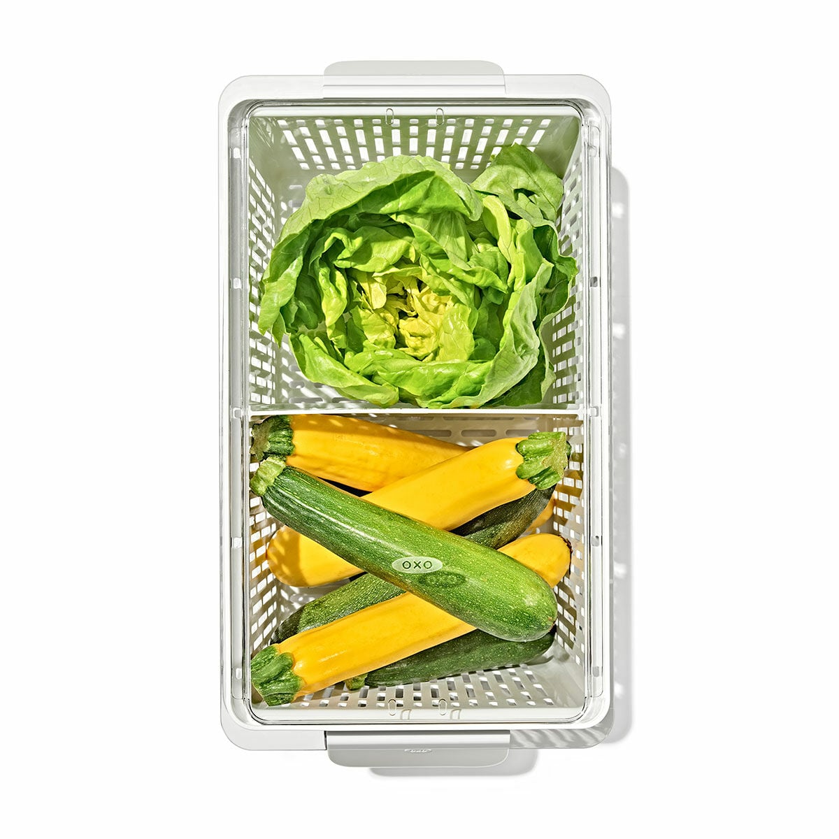 produce-saver-large-bin-r6 gg_sw_produce-saver-large_02.jpg