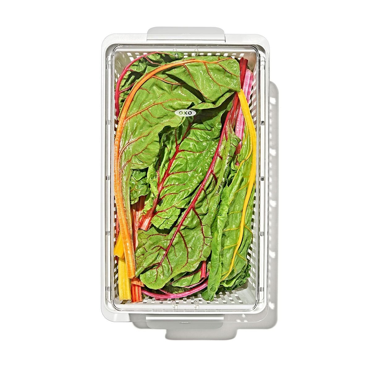 produce-saver-large-bin-r6 gg_sw_produce-saver-large_10.jpg