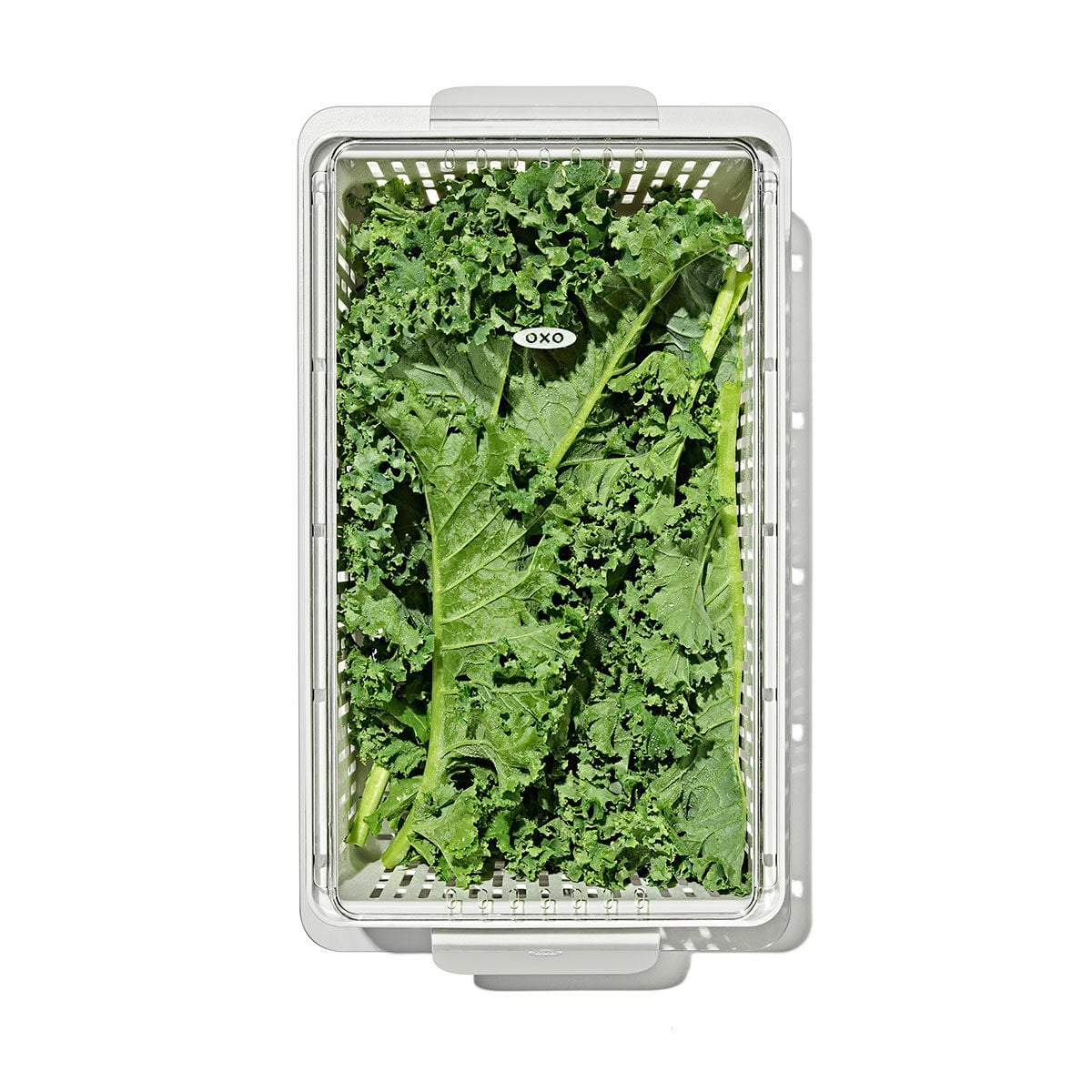 produce-saver-medium-bin-q4 gg_sw_produce-saver-medium_05.jpg