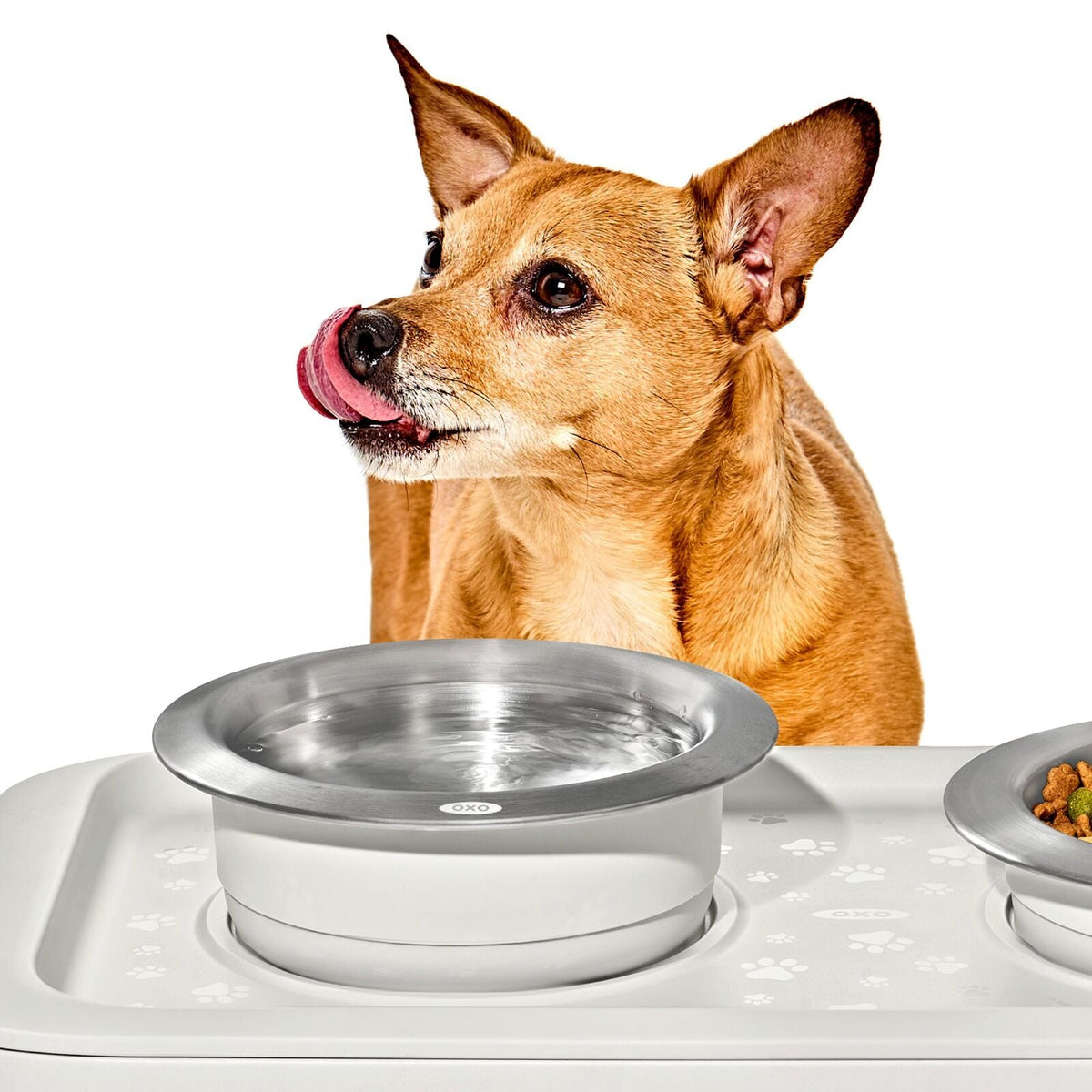 oxo-pet-nonslip-bowl-medium-2-cups-480-ml-k8 pet_7101900_nonslip-medium-bowl_pdp_02.jpeg