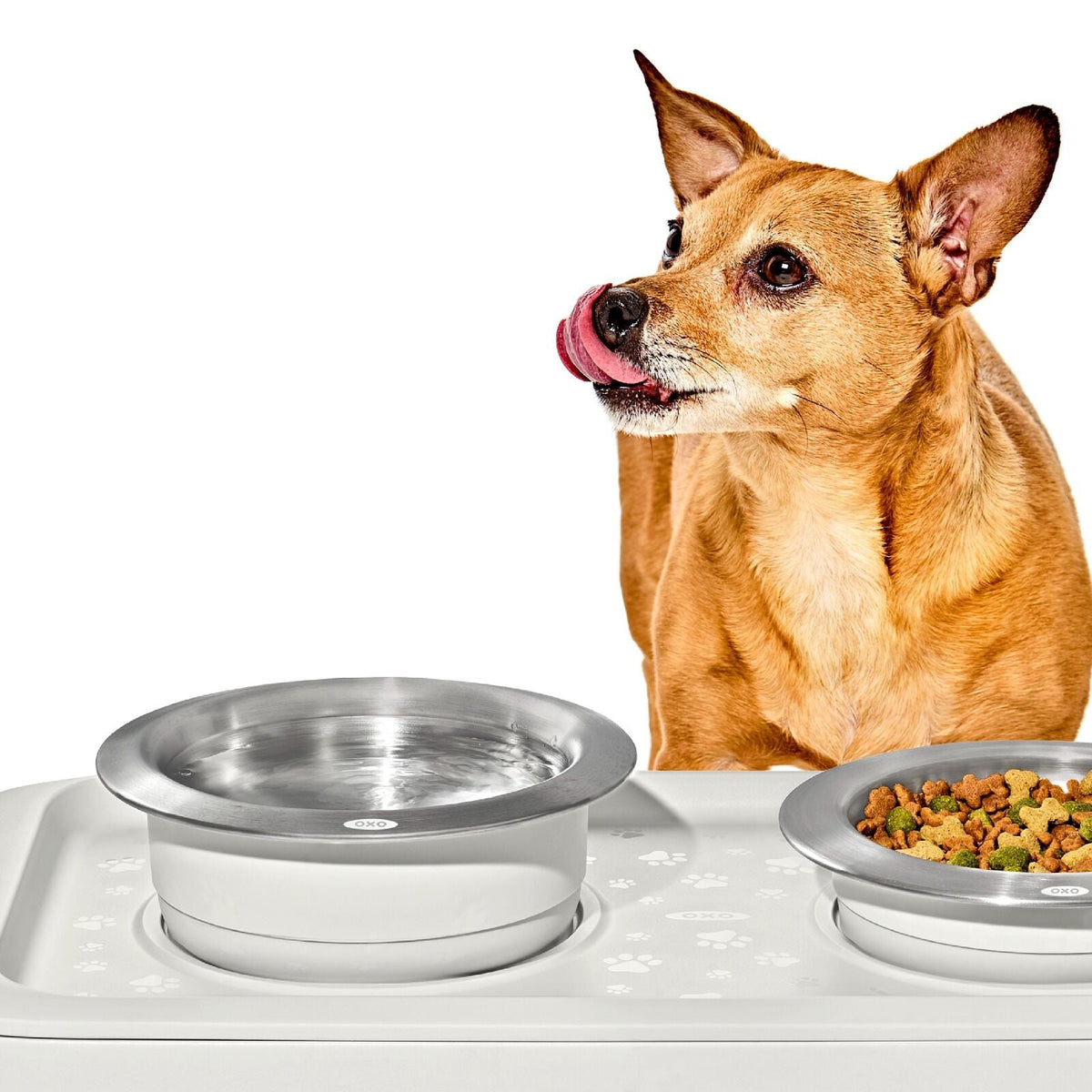 oxo-pet-nonslip-bowl-large-4-cups-950-ml-d8 pet_7102000_nonslip-large-bowl_pdp_02.jpeg