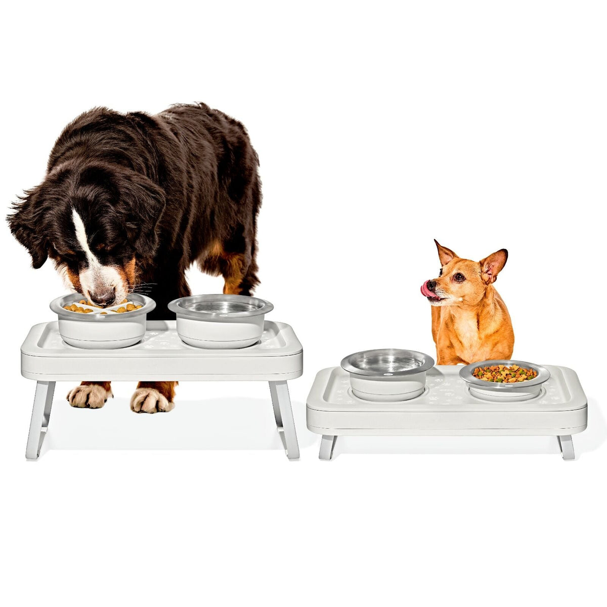 oxo-pet-adjustable-elevated-feeder-g9 pet_7102300_elevated-feeder_pdp_01.jpeg