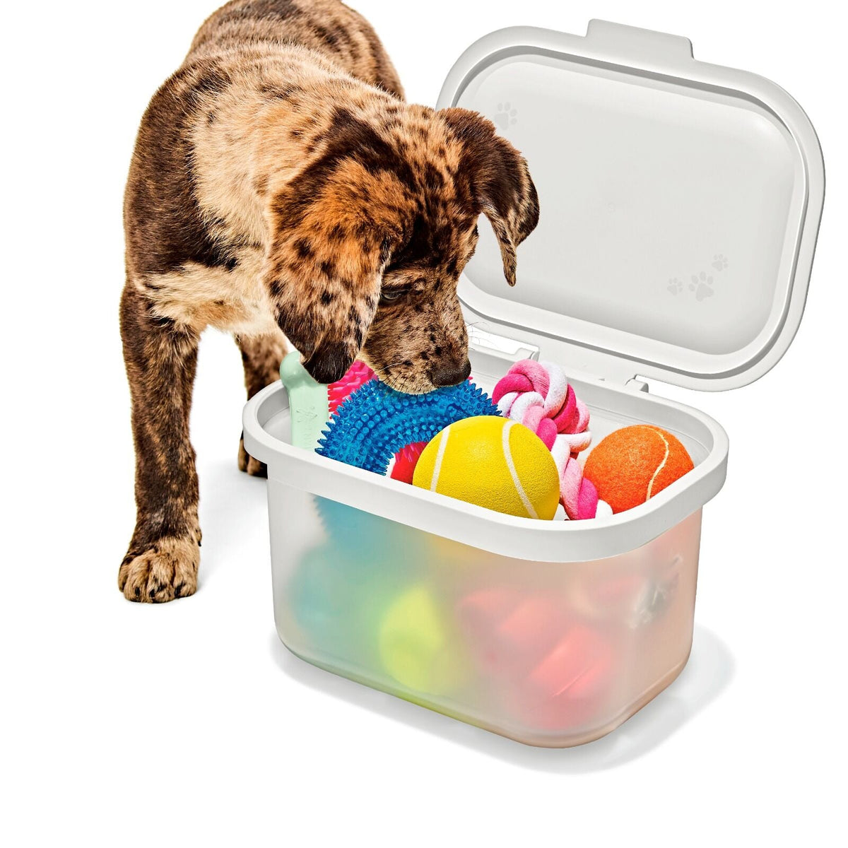 oxo-pet-multi-purpose-container-a4 pet_7301300_multi-purpose-container_pdp_06.jpeg