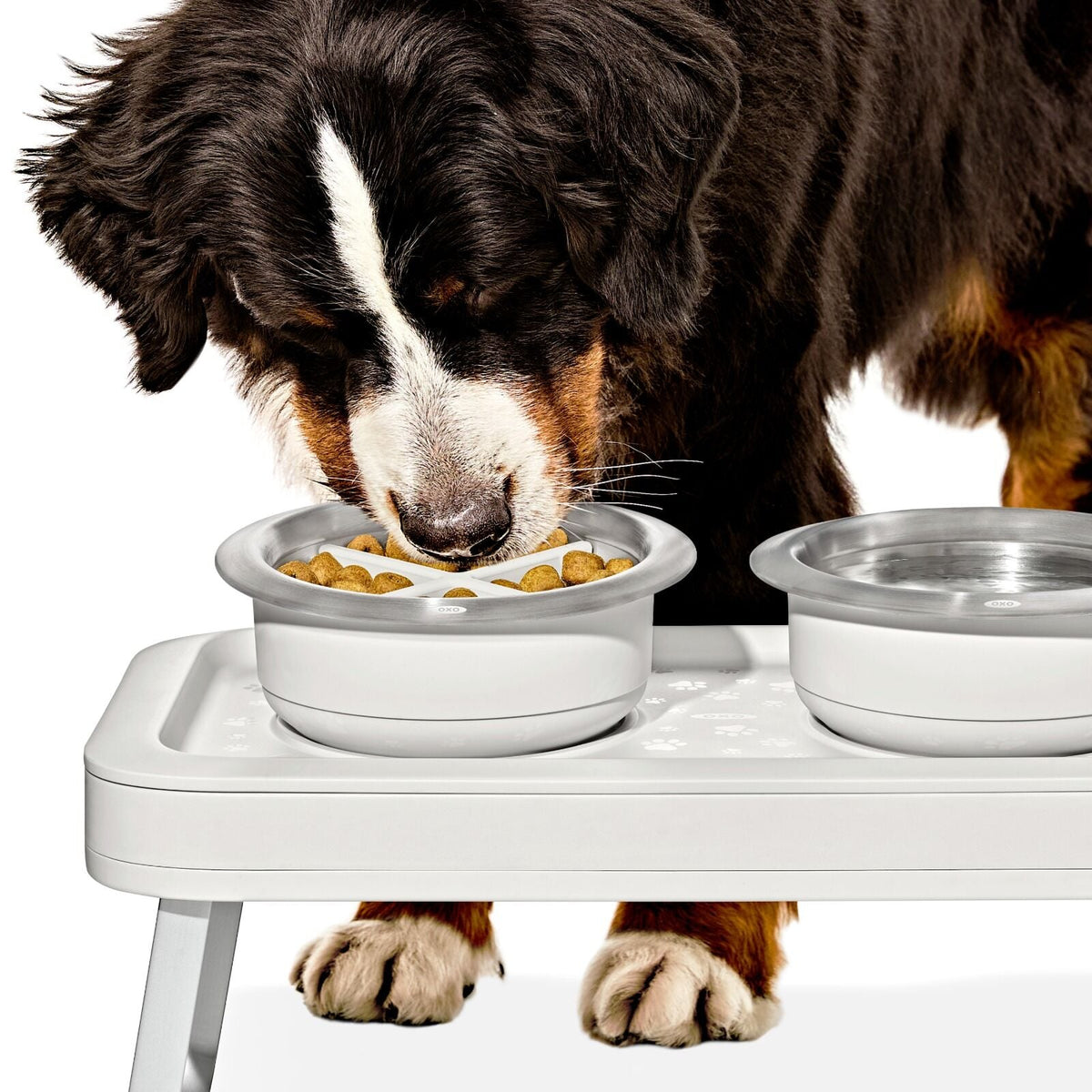 oxo-pet-easy-clean-slow-feeder-large-4-cups-950-ml-x3 pet_slow-feeder-medium-large_pdp_02.jpeg