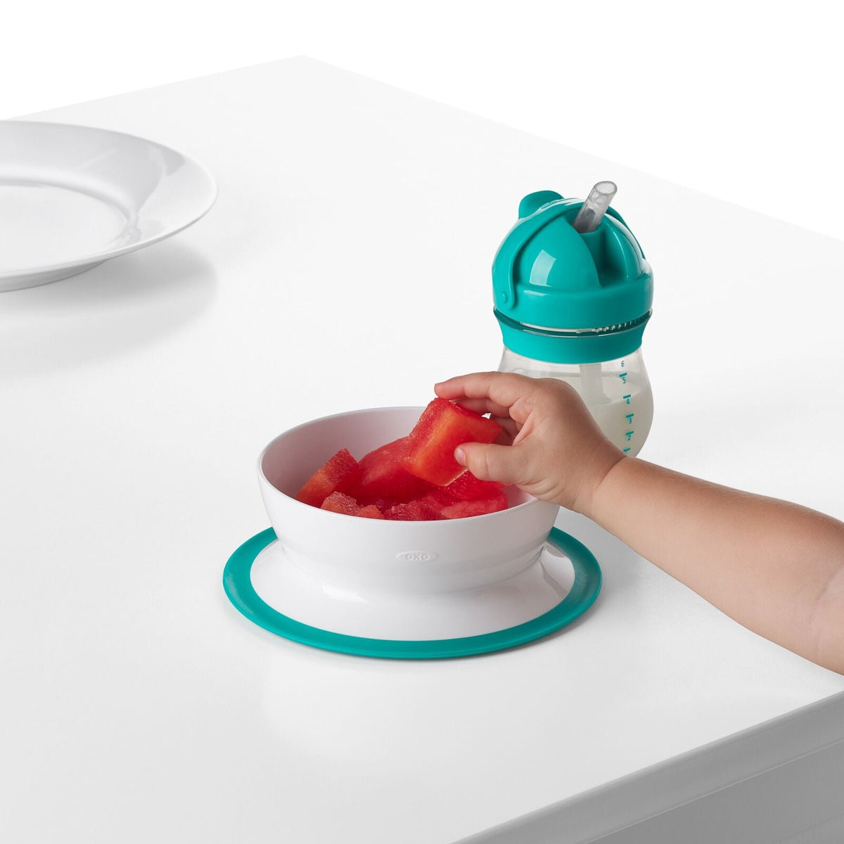 stick-and-stay-suction-bowl-c8 tot_61120600_4i.jpg