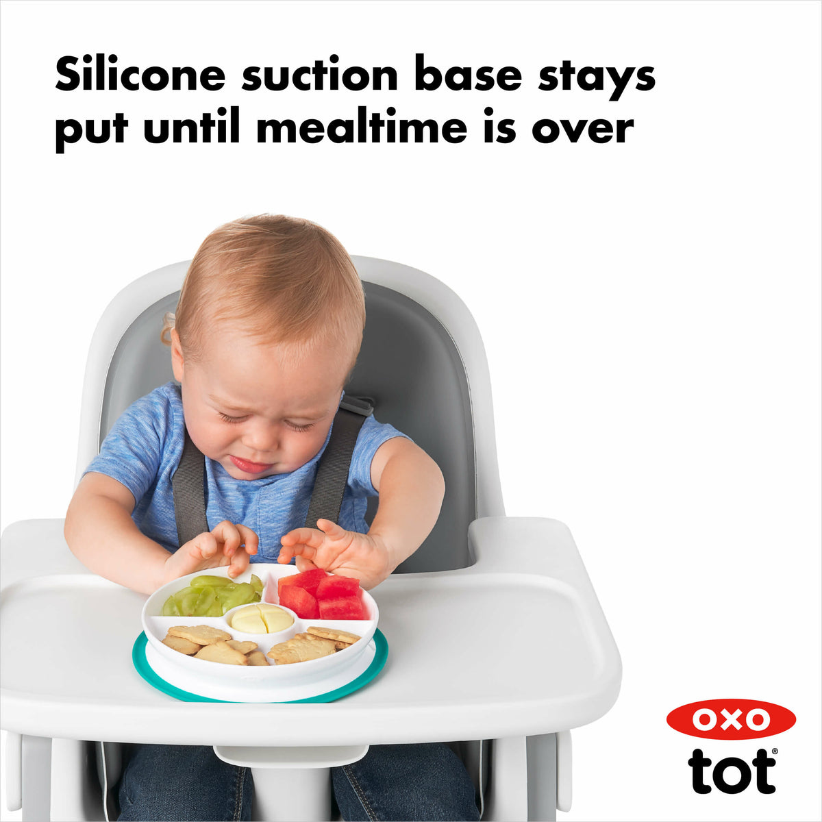 stick-and-stay-suction-divided-plate-f2 tot_61121200_8d_1_.jpg